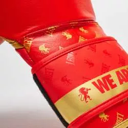 Guantes boxeo DNA Leone GN220 rojo 6